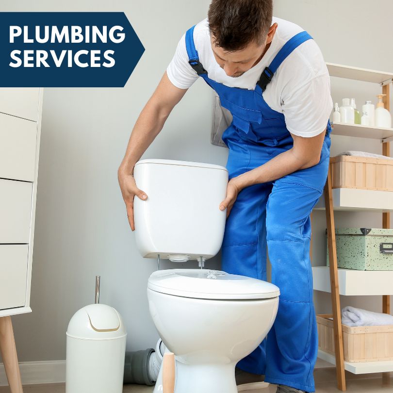 Plumbing Company in Cisne, IL